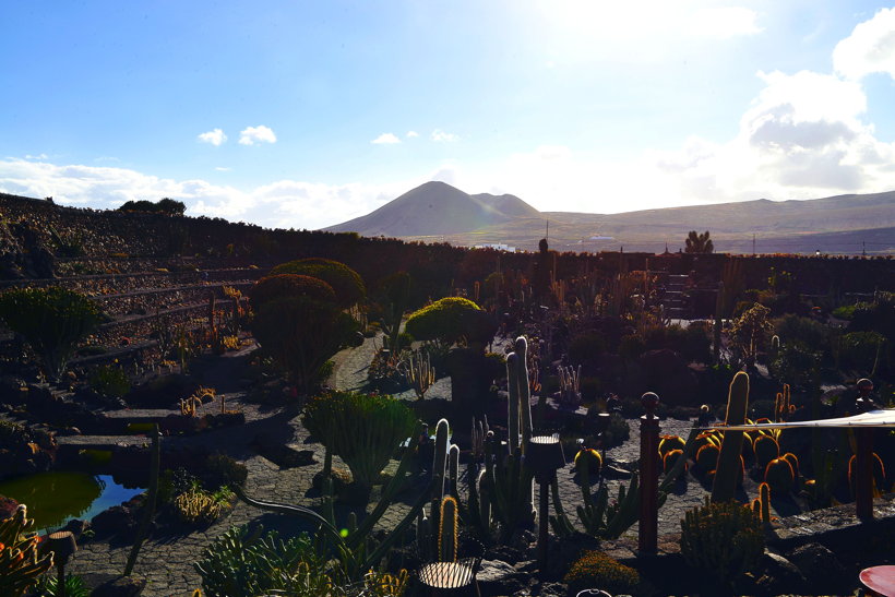 Lanzarote Guatiza Jardín de Cactus Kaktusgarten César Manrique 