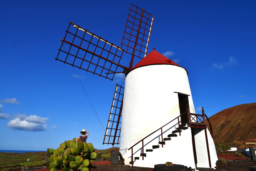 Lanzarote Guatiza Jardín de Cactus Kaktusgarten César Manrique 