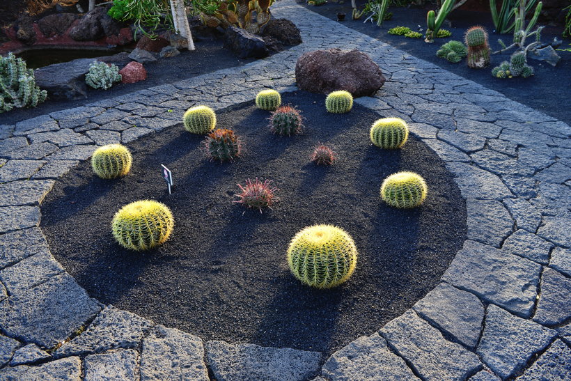 Lanzarote Guatiza Jardín de Cactus Kaktusgarten César Manrique 