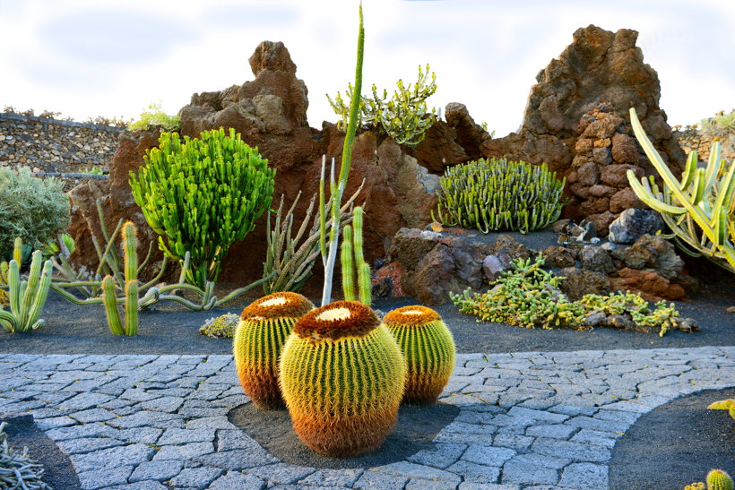 Lanzarote Guatiza Jardín de Cactus Kaktusgarten César Manrique 