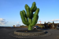 Lanzarote Guatiza Jardín de Cactus Kaktusgarten César Manrique 