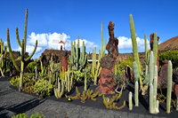 Lanzarote Guatiza Jardín de Cactus Kaktusgarten César Manrique 