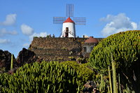 Lanzarote Guatiza Jardín de Cactus Kaktusgarten César Manrique 