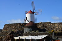 Lanzarote Guatiza Jardín de Cactus Kaktusgarten César Manrique 