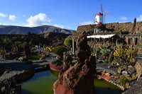 Lanzarote Guatiza Jardín de Cactus Kaktusgarten César Manrique 