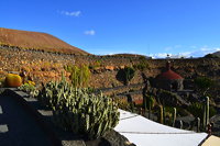 Lanzarote Guatiza Jardín de Cactus Kaktusgarten César Manrique 