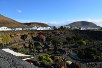 Lanzarote Guatiza Jardín de Cactus Kaktusgarten César Manrique 