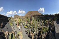 Lanzarote Guatiza Jardín de Cactus Kaktusgarten César Manrique 