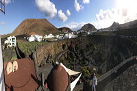 Lanzarote Guatiza Jardín de Cactus Kaktusgarten César Manrique 