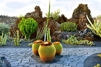 Lanzarote Guatiza Jardín de Cactus Kaktusgarten César Manrique 