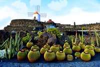 Lanzarote Guatiza Jardín de Cactus Kaktusgarten César Manrique 