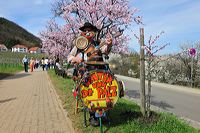 Mandelblüte Mandelbaum Mandelblütenfest Ziermandel, Kreuzung aus Bittermandel und Pfirsich. Perle der Weinstrasse in Neustadt Ortsteil Gimmeldingen