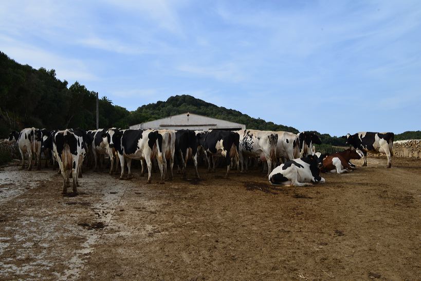 Menorca, Binissues Herrenhaus Landgut und Restaurant mit Menorca's Natural Science Museum