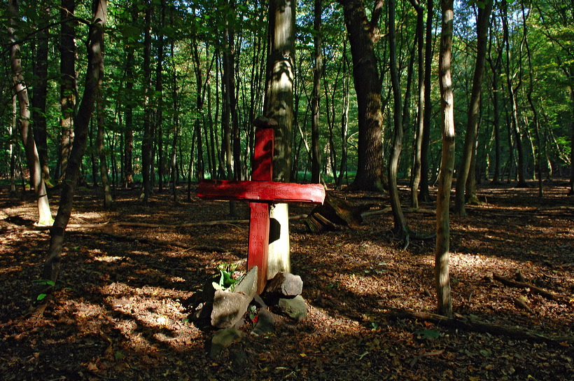 Mönchbruch Naturschutzgebiet