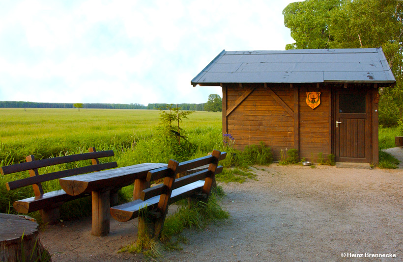 Mönchbruch Naturschutzgebiet