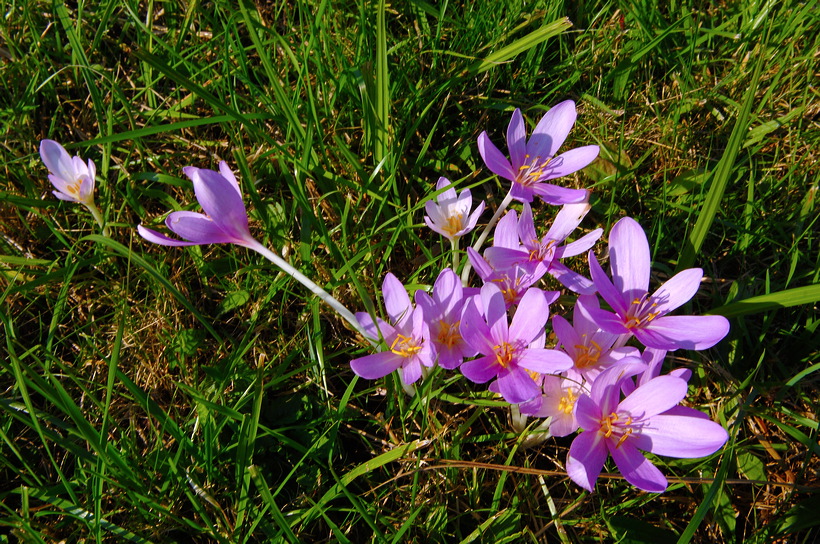 Mönchbruch Naturschutzgebiet