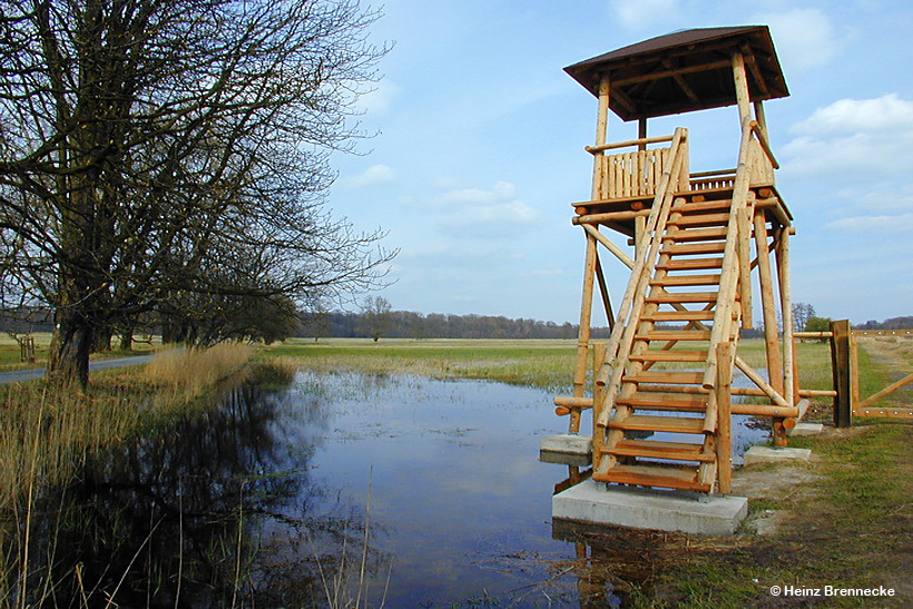 Mönchbruch Naturschutzgebiet