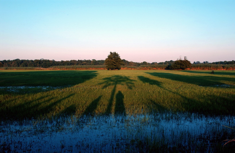 Mönchbruch Naturschutzgebiet