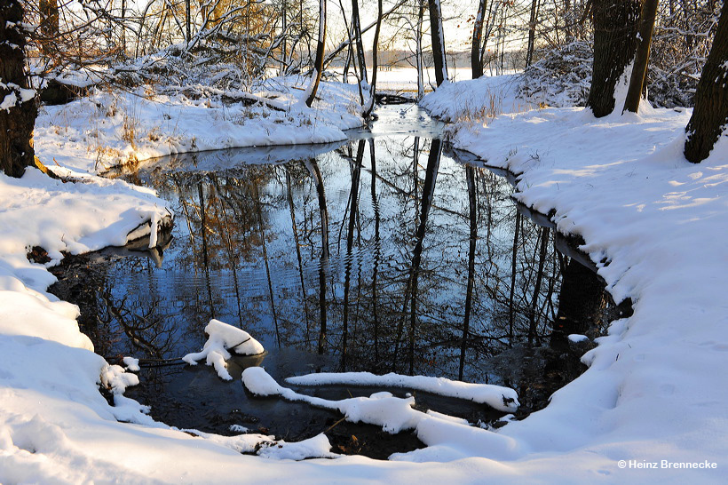 Mönchbruch Naturschutzgebiet