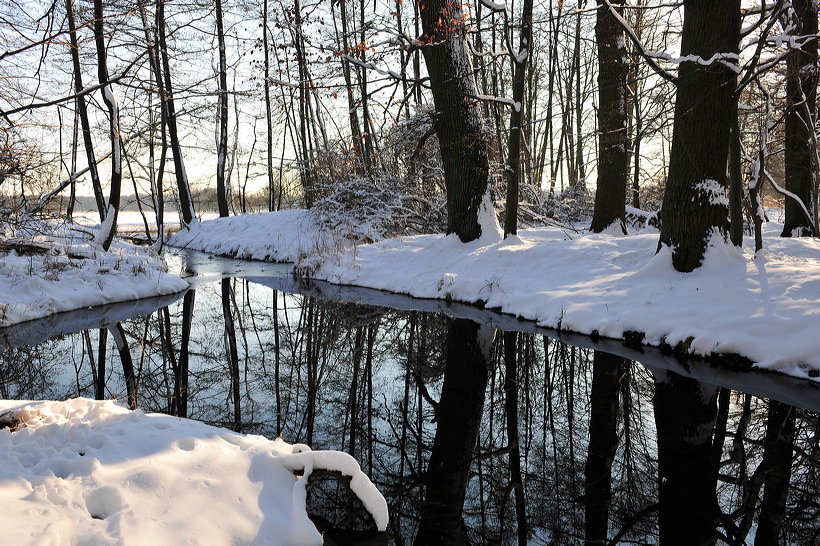 Mönchbruch Naturschutzgebiet