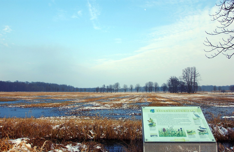 Mönchbruch Naturschutzgebiet