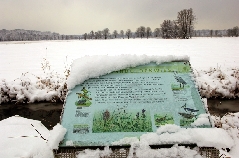 Mönchbruch Naturschutzgebiet