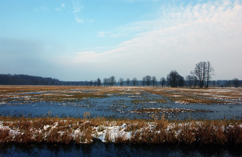 Mönchbruch Naturschutzgebiet