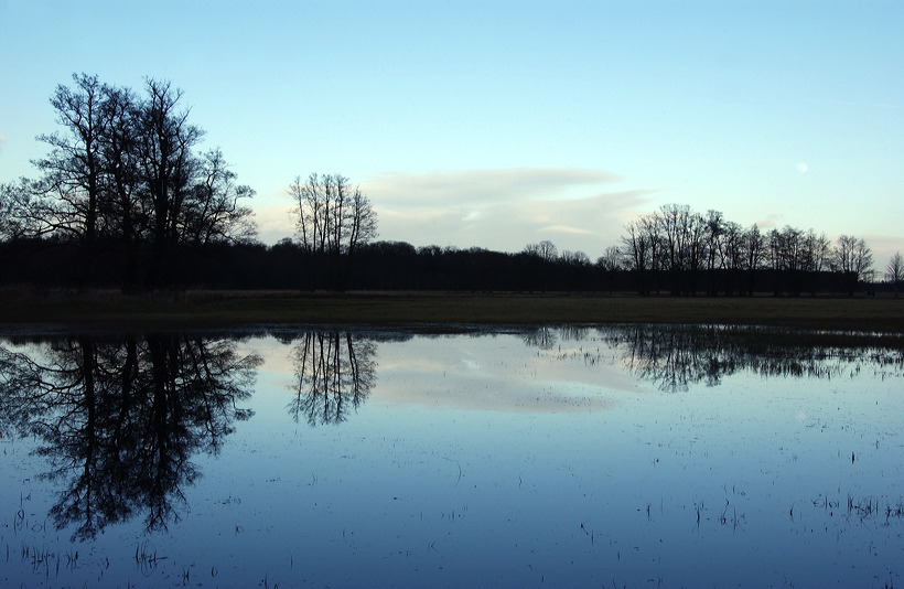 Mönchbruch Naturschutzgebiet