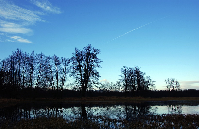 Mönchbruch Naturschutzgebiet