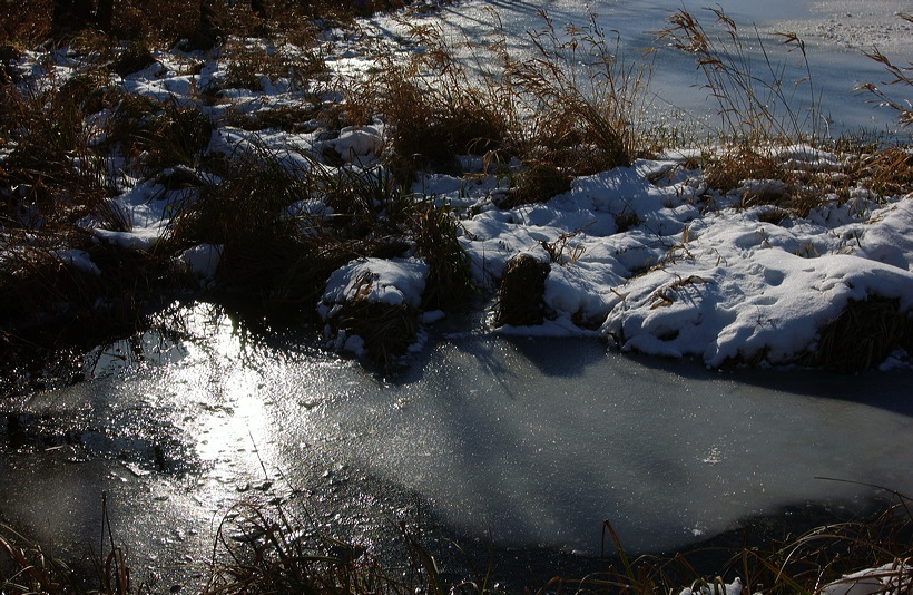 Mönchbruch Naturschutzgebiet