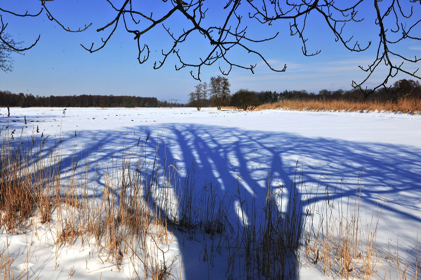 Mönchbruch Naturschutzgebiet Mördelden-Wallldorf