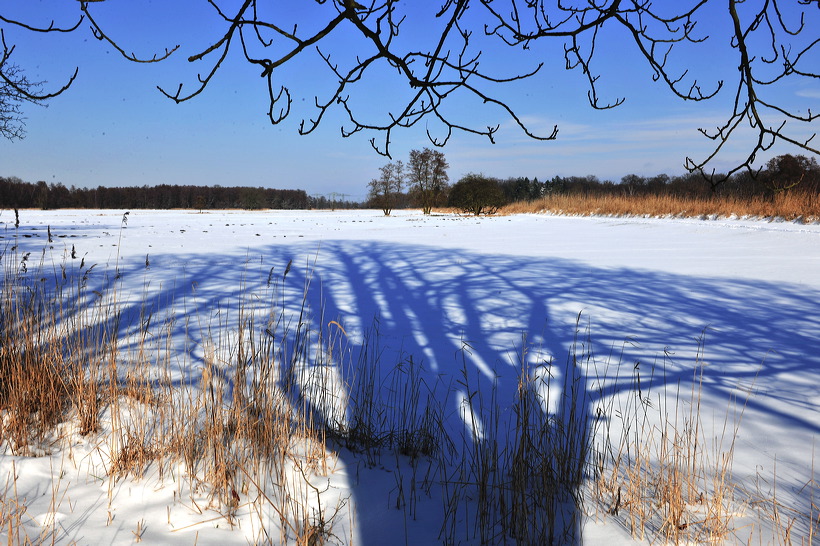 Mönchbruch Naturschutzgebiet Mördelden-Wallldorf