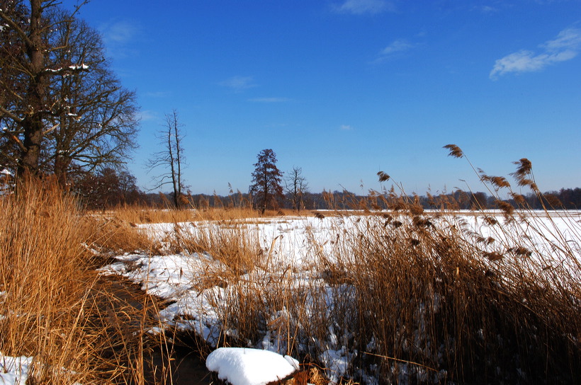 Mönchbruch Naturschutzgebiet