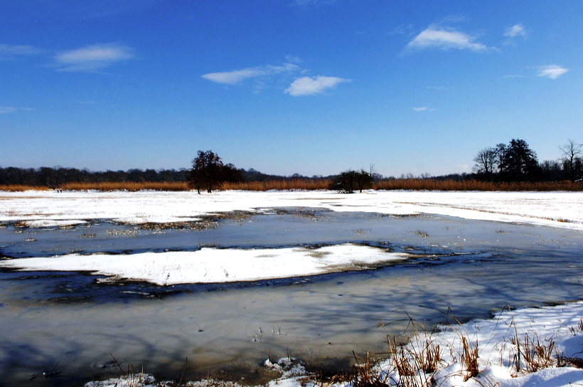 Mönchbruch Naturschutzgebiet