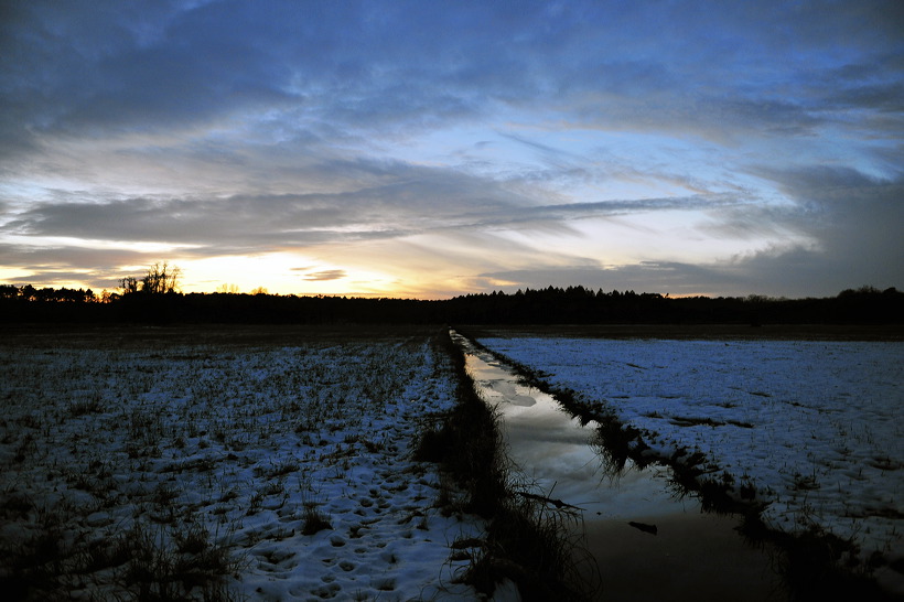 Mönchbruch Naturschutzgebiet