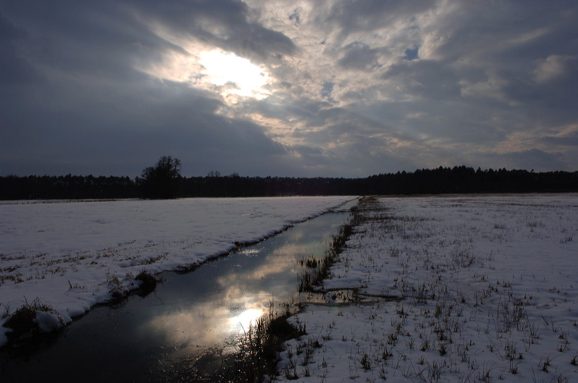 Mönchbruch Naturschutzgebiet