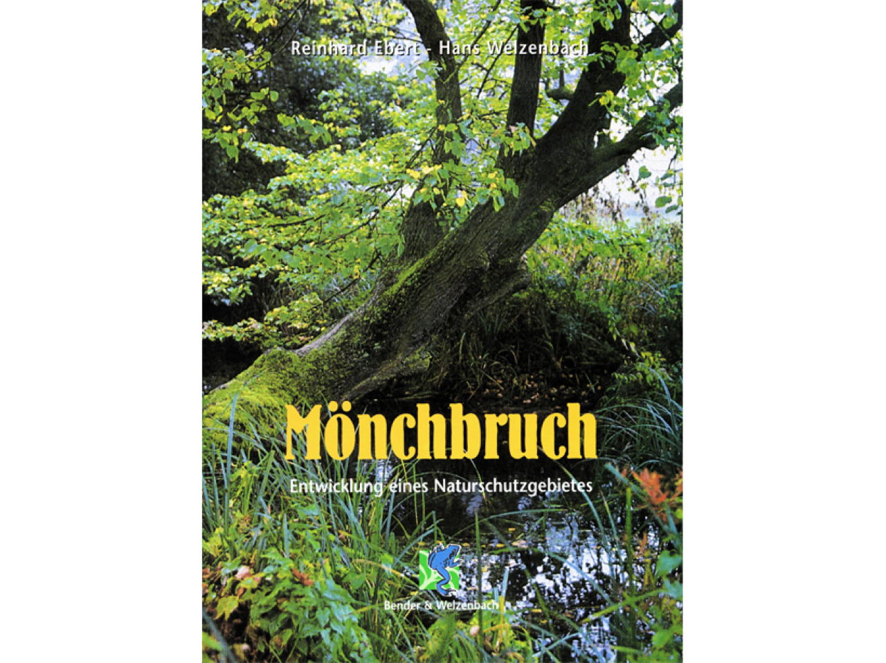 Mönchbruch Naturschutzgebiet Mördelden-Wallldorf