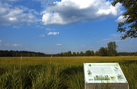 Mönchbruch Naturschutzgebiet