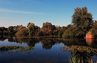 Mönchbruch Naturschutzgebiet