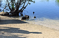 Mönchbruch Naturschutzgebiet