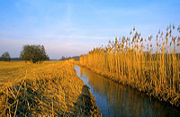 Mönchbruch Naturschutzgebiet