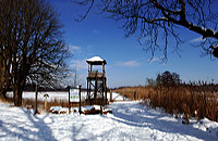 Mönchbruch Naturschutzgebiet