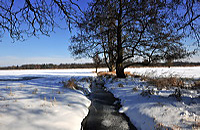 Mönchbruch Naturschutzgebiet