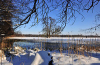 Mönchbruch Naturschutzgebiet