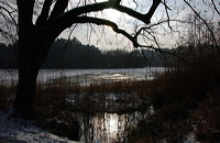 Mönchbruch Naturschutzgebiet