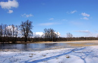 Mönchbruch Naturschutzgebiet