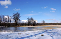 Mönchbruch Naturschutzgebiet