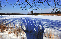 Mönchbruch Naturschutzgebiet Mördelden-Wallldorf