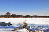 Mönchbruch Naturschutzgebiet