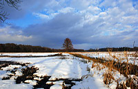 Mönchbruch Naturschutzgebiet